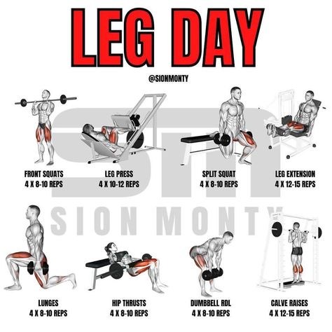 Bicep Workout Gym, Leg Workout Gym, Push Pull Legs Workout, Leg Workouts For Men, Dumbbell Leg Workout, Push Pull Workout, Leg Days, Full Body Workout Plan, Leg Workouts Gym