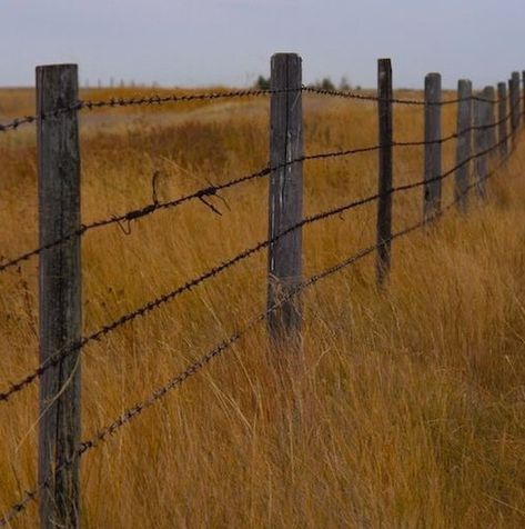 Country Fencing, Barb Wire Fence, Ranch Fence, Wire Fences, Barbed Wire Fence, Old Gates, Barbed Wire Fencing, Country Fences, Rustic Fence