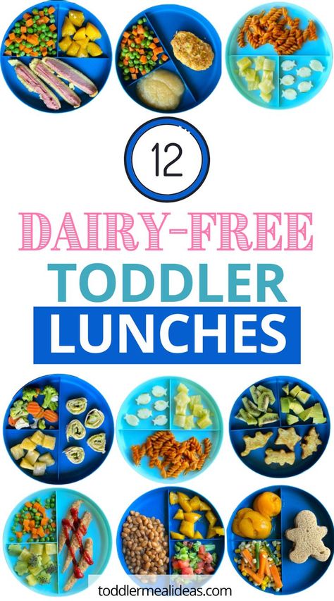 Dairy Free Recipes For Toddlers, Dairy Free Recipes For Kids, Dairy Free Baby, Toddler Lunch Ideas, Dairy Free Lunch, Toddler Meal Ideas, Baby Food By Age, Dairy Free Cooking, Lunch Easy