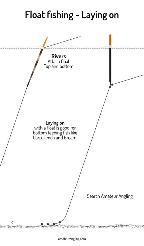 Laying on with a float, is a little used, old fashioned method of catching fish. But it is particularly good for bottom feeding fish like Carp, Tench, Bream and for me, Perch. Perch Fish, Float Fishing, Lay It Down, Fishing Hook Knots, Flounder Fishing, Carp Fishing Rigs, Paper Mechanics, Fishing Rigs, Freshwater Fishing