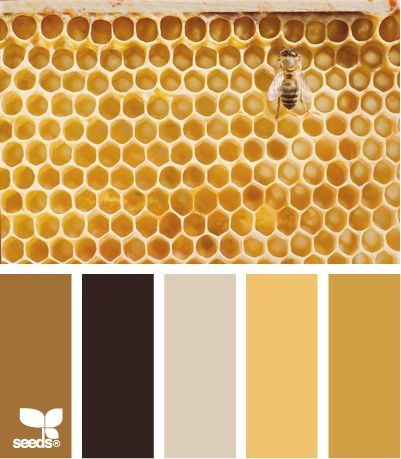 colors combos color palettes bathroom furniture design seeds colours ... Design Seeds, Color Palate, Color My World, Honey Bees, Colour Board, Colour Palettes, Color Swatches, Color Pallets, Colour Schemes