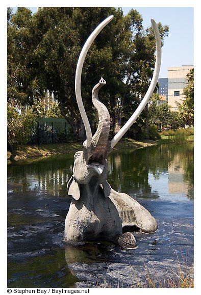 La Brea Tar Pits Tar Pits Los Angeles, La Brea Tar Pits, Summer Vision, Los Angeles Museum, La Brea, I Love La, Old Cemeteries, Beach City, City Of Angels