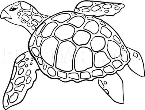 How To Draw A Sea Turtle, Step by Step, Drawing Guide, by Dawn | dragoart.com Draw A Sea Turtle, Sea Turtle Drawing, Turtle Quilt, Turtle Drawing, Sea Turtle Art, Turtle Love, Turtle Painting, Turtle Art, Nursery School