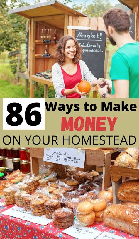 Homesteading Money Making, Mini Farming For Beginners, Best Place To Homestead, Ways To Make Money Homesteading, Making Money On A Farm, Easy Homestead Meals, Ways To Make Money On A Homestead, Making Money On Homestead, Make Money On Homestead