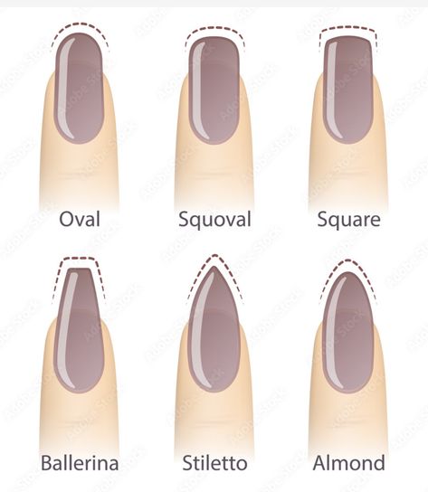 Oval Nail Ideas, Types Of Nails Shapes, Nail Shapes Squoval, Oval Nail, Almond Nail Art, Business Nails, Nail Quotes, Home Nail Salon, Finger Nail Art