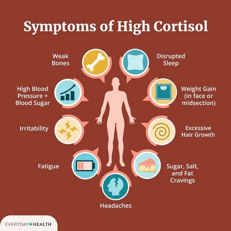 Recognizing the Signs and Symptoms of High Cortisol Parathyroid Disease, Best Creatine, Cushings Syndrome, High Cortisol, High Sugar, Fat Foods, Online Therapy, Cortisol Levels, Best Doctors