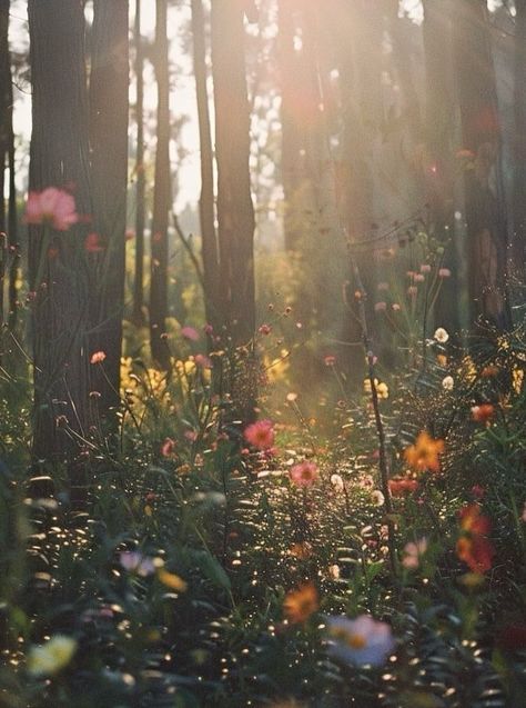 Spring Forest Aesthetic, Triassic Cuddle, Fall Nature Aesthetic, Spring Nature Aesthetic, Early Spring Aesthetic, Nature Deity, Spring Nature Photography, Wildflowers Aesthetic, Meadow Wildflowers