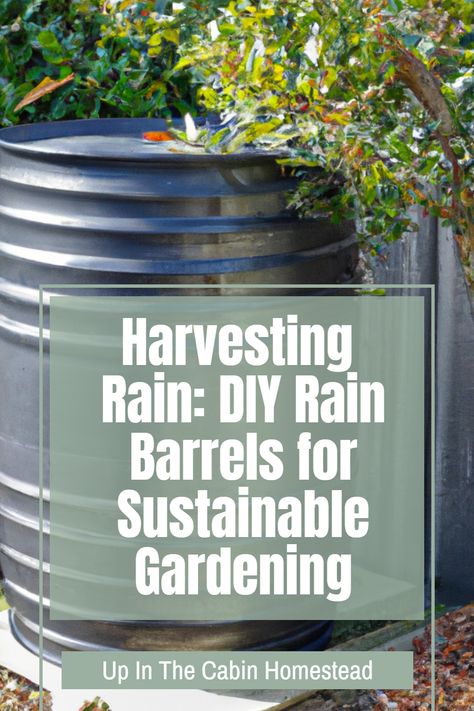 Looking for a sustainable and budget-friendly approach to your gardening? Discover Harvesting Rain: DIY Rain Barrels for Sustainable Gardening, a simple yet powerful way to capture and use rainwater. Transform your gardening experience and contribute to a greener future. Follow for more like this! Rain Barrel Diy, Rain Barrell, Garden Upcycle, Rain Collection System, Diy Rain Barrel, Irrigation Methods, Barrels Diy, Rain Harvesting, Barrel Ideas