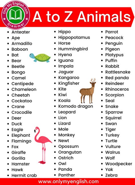 Animals Name With Picture, Animals Name List, Kids Charts, Animals List, Animals Name, Study English Language, Art Challenges, Computer Basic, English Games