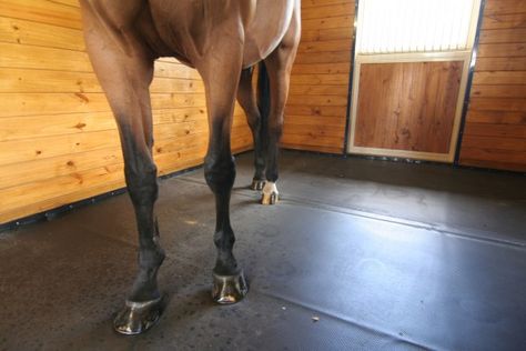 Horse Stall Floor, Horse Stall Mats, Stall Mats Horse, Stall Cleaning, Stall Flooring, Home Gym Flooring, Healthy Horses, Horse Stall, Horse Stalls