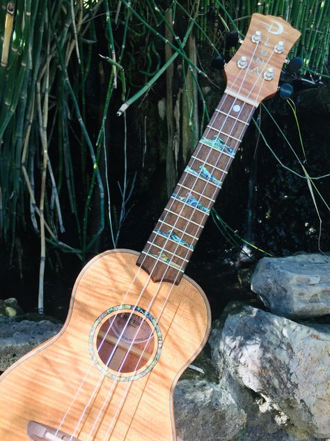 Ukulele Aesthetic, Pretty Ukulele, Ukulele Pictures, Musician Aesthetic, Ukulele Stand, Blue Ukulele, Ukulele Instrument, Unique Ukulele, Luna Guitars