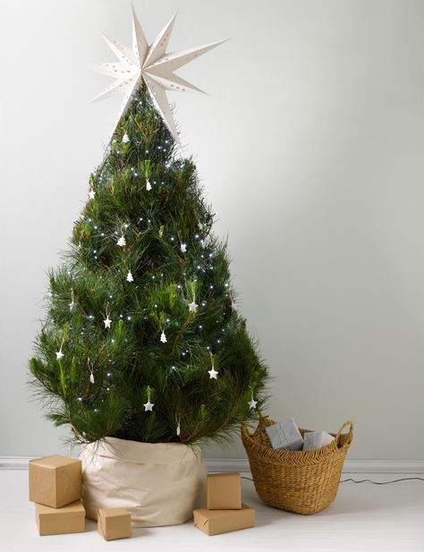 Forget fussing about with wrapping paper and keep it classy with one of our four clever hacks to hide that unsightly Christmas tree bas Hide Christmas Tree Base, Christmas Tree Legs, 3d Christmas Ornaments, Navidad Natural, Christmas Tree Base, Fake Christmas Trees, Christmas Thoughts, Winter Celebration, Xmas 2022