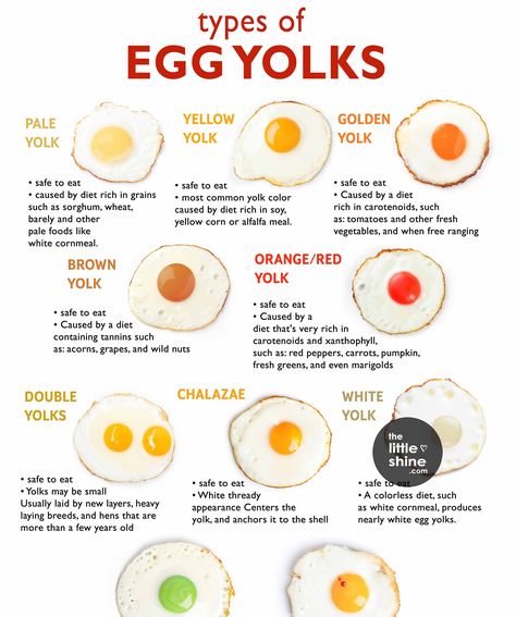 Egg Yolk Colors Chart - The Little Shine Egg Yolk Color Chart, Color Meaning Chart, Egg Chart, Egg Yoke, Breakfast Around The World, Colors Chart, Types Of Onions, Egg Nutrition, Types Of Eggs