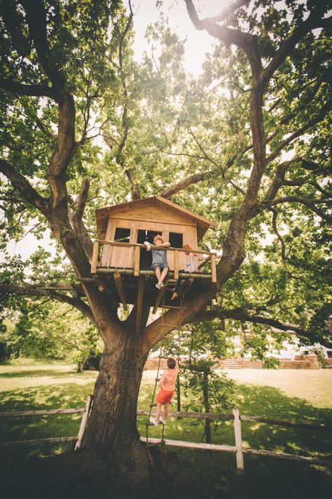 Backyard Treehouse, Tree House Interior, Building A Treehouse, Tree House Plans, Tree Fort, Tree House Diy, Tree House Kids, Tree House Designs, Farmhouse Cottage