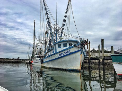 Capt. Tang Shrimp Boat Grandpa Tattoo, Shrimp Festival, Shem Creek, Shrimp Boats, Boat Tattoo, Shrimp Boat, Working Boat, Classic Wooden Boats, Boat Art