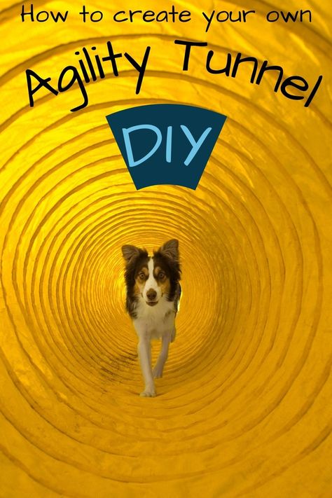 Dog going through yellow agility tunnel Agility Equipment For Dogs Diy, Dog Training Obstacle Course Diy, Agility Training For Dogs Diy, Small Dog Agility Course Diy, Agility Dog Diy, Diy Dog Obstacle Course Ideas, Dog Agility Course Diy How To Build, Dog Agility Course Design, Dog Tunnel Diy