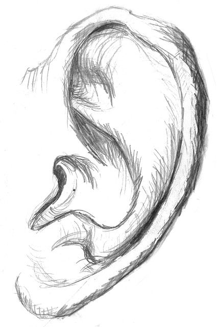 Ear, Sketch, Drawing, Black And White, Public Domain, Free Stock, CC0, Creative Commons - by Alexandru Petre Ear Sketch Reference, Ear Art Reference, Ear Doodle, Ear Drawings, Ear Sketch, Ear Photo, Ears Drawing, Ear Drawing, Human Face Drawing