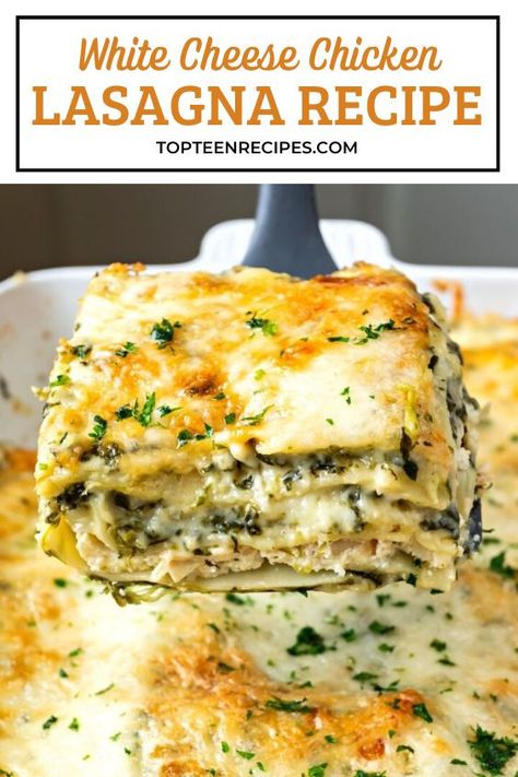 Take a break from the traditional red sauce meat lasagna and try this delicious white lasagna recipe. Chicken lasagna with white sauce is creamy, has loads of cheese and spinach and it just melts in your mouth! Lasagna Recipe Chicken, Lasagna With White Sauce, White Lasagna Recipe, Spinach Lasagna Recipe, Chicken Lasagna Recipe, White Lasagna, Meat Lasagna, Lasagna Rollups, Chicken Lasagna