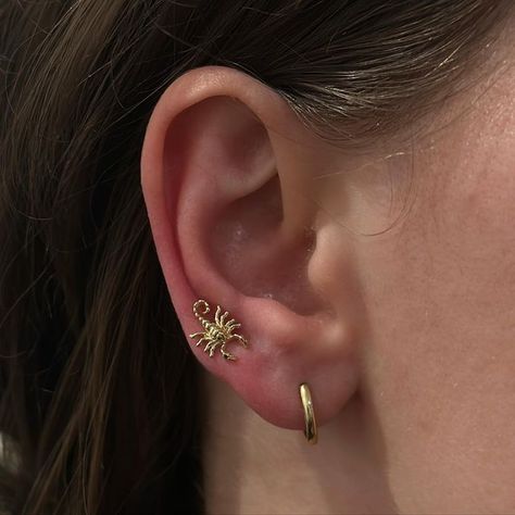 Aaron Victory on Instagram: "Lobe piercing @thebellrosetattoo with 14k gold scorpion from @tawapa #piercing #gold #scorpion #thebellrosetattoo" Scorpion Piercing, Gold Scorpion, Scorpion Earrings, Ear Curation, Lobe Piercing, Scorpion, My Jewellery, Tattoos, Gold