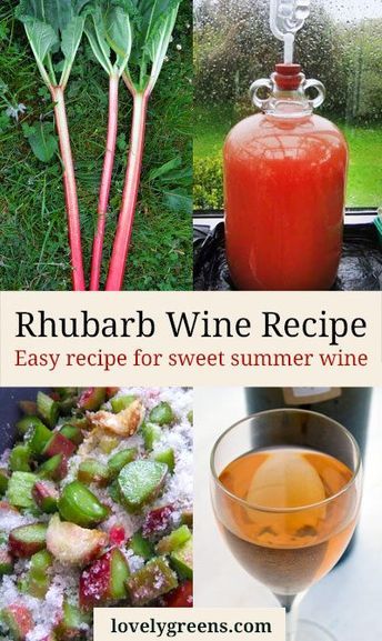 Rhubarb Wine Recipe, Rhubarb Wine, Wine Making Recipes, Homemade Wine Recipes, Mead Recipe, Homemade Alcohol, Wine Recipe, Liquor Recipes, Liqueurs Recipes