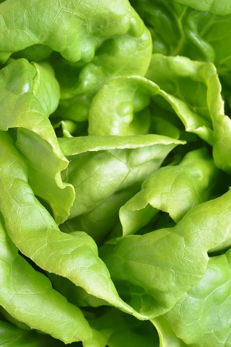 Wilted Lettuce Salad, Lettuce Soup, Organic Dinner Recipes, Organic Dinner, Greens Vegetables, Shrimp Lettuce Wraps, Lettuce Recipes, Wilted Lettuce, Lettuce Tacos