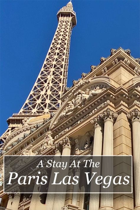 A stay at the Paris Las Vegas Hotel and Casino. Sitting in a centre of the Las Vegas strip opposite the Bellagio fountains #LasVegas The Paris Las Vegas, Vegas Paris Hotel, Paris Pool, Best Las Vegas Hotels, Paris Hotel Las Vegas, Vegas Hotel Rooms, Las Vegas Trip Planning, Bellagio Fountains, Vegas Trip Planning