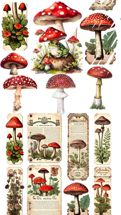 Boho Goth Decor, Alice In Wonderland Garden, Mushroom Stickers, Mushroom Clipart, Mushroom Pictures, Scrapbook Flowers, Goth Decor, Mushroom Fungi, Illustration Fashion Design