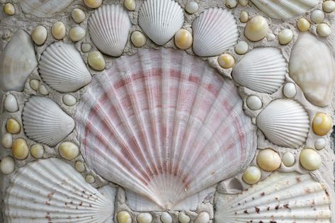 Turn the seashells collected from your beach vacation into fun crafts and beautiful ways to decorate your home. Seashell Garland, Shell Display, Seashell Decor, Shell Mosaic, Photo Mosaic, Sea Shell Decor, Seashell Art, Seashell Crafts, Themed Crafts