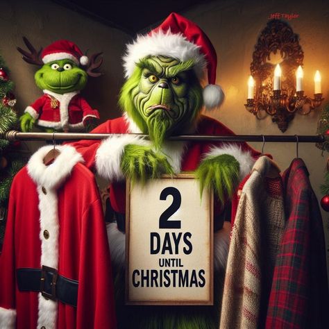 Grinch Days Till Christmas, Grinch Sayings, December Pics, How The Grinch Stole Christmas Movie Poster, The Grinch 2000, Grinch Meme, Grinch Pictures, Grinch Memes Funny, The Grinch Pictures