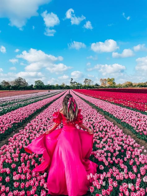 Photography In Flower Fields, Tulip Garden Photoshoot, Tulip Fields Photoshoot, Tulip Field Photoshoot, Farm Vibes, Dubai Outfits Ideas, Spring Moodboard, Amsterdam Tulips, Tulip Farm