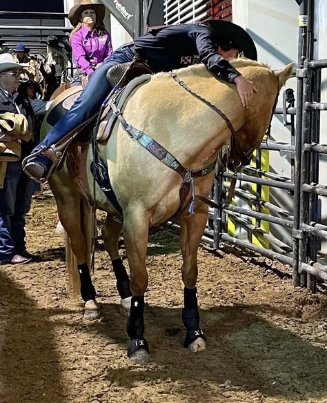 Hailey Kinsel, Santos Gang On My Block, Rodeo Photography, Barrel Train, Barrel Horses, Aqha Horses, Dream Horse Barns, Cute Horse Pictures, Barrel Racing Horses