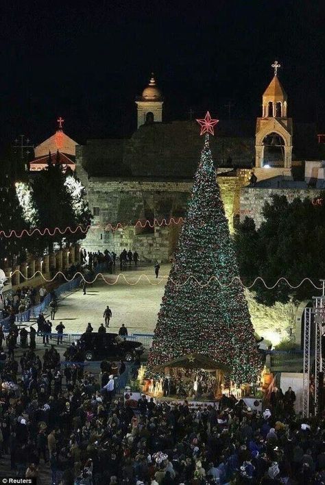 Christmas in Bethlehem, Jerusalem......where it began. Jesus And Christmas, Xmas Around The World, Church Of The Nativity, Chosen By God, Christmas Nails Art, Bethlehem Christmas, Nativity Church, Christmas City, Christmas Trees Ideas