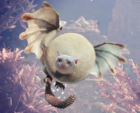 The feeling you get when you are the least threatening monster in the coral highlands #Paolumu #monhun #monster #hunter #monsterhunter #MH… Paolumu Monster Hunter World, Coral Highlands, Monster Hunter Aesthetic, Hunter Aesthetic, Strange Art, Climb Trees, Monster Hunter World, Lovely Creatures, The Coral