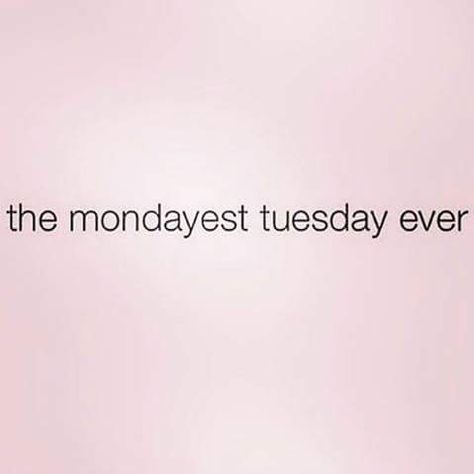 The mondayest tuesday ever - Imgur Tuesday Quotes, Weekday Quotes, Weekend Humor, Work Humor, Work Quotes, Teacher Humor, Bones Funny, The Words, Words Quotes