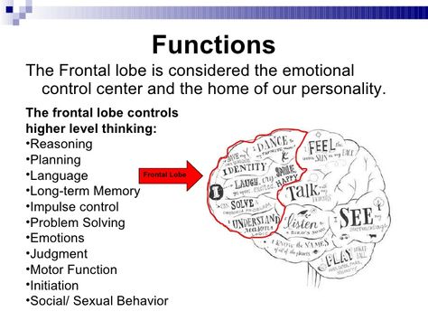 Functions <ul><li>The Frontal lobe is considered the emotional control center and the home of our personality. </li></ul><... Frontal Cortex The Brain, Temporal Lobe Functions, Brain Health Quotes, Frontal Lobe Damage, Color Palette Hair, Frontal Lobe Function, Project Lead The Way, Anatomy Of The Brain, Health Binder