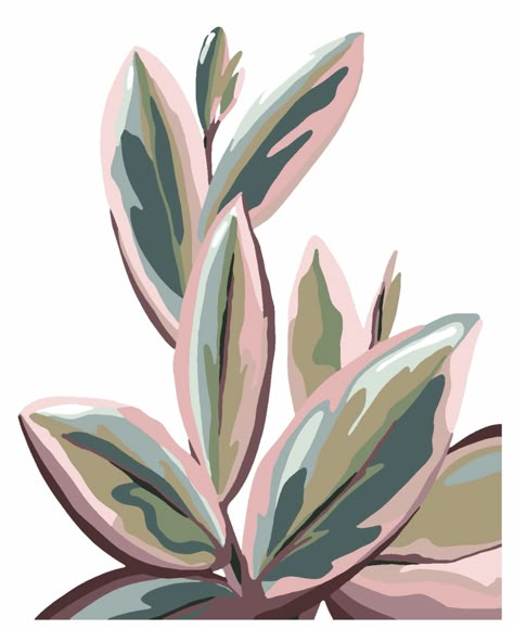 Rubber Plant Painting, Painting Ideas Plants, Floral Gouache, Gouache Art, Plant Painting, Watercolor Inspiration, Painting Art Projects, Plant Art, Diy Canvas Art