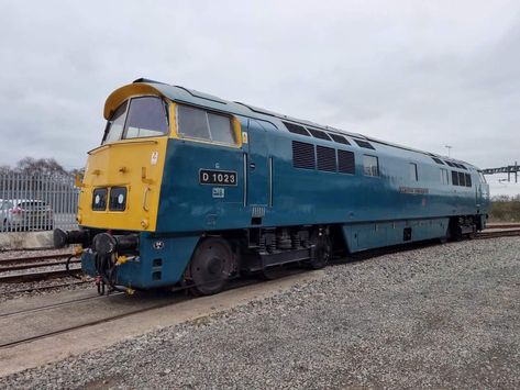 D1023 Western Champion has arrived at the Didcot Railway Centre ahead of a five-year loan from the National Railway Museum in York. https://www.railadvent.co.uk/2023/01/western-locomotive-arrives-in-didcot-ahead-of-loan-from-national-railway-museum.html #Class52 #WesternChampion #DidcotRailwayCentre #NationalRailwayMuseum National Railway Museum, Western Region, Railway Museum, Rolling Stock, Diesel Locomotive, History