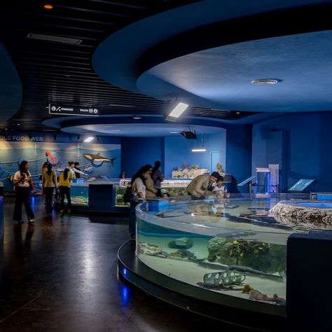 Aquatic Gallery at Science City, #Ahmedabad, India by INI Design Studio @inidesignstudio. 🔗 https://www.amazingarchitecture.com/museum/aquatic-gallery-at-science-city-ahmedabad-india-by-ini-design-studio Photography: Vinay Panjwani @panjwani.vinay. INI Design Studio: In this emerging environment of knowledge-driven economic growth, it is imperative to inculcate a scientific temper in the community. The Gujarat Council of Science City, established by the Government of Gujarat, has developed... Science City Ahmedabad, Economic Growth, The Government, Ahmedabad, Amazing Architecture, The Gap, The Community, Studio Photography, Design Studio