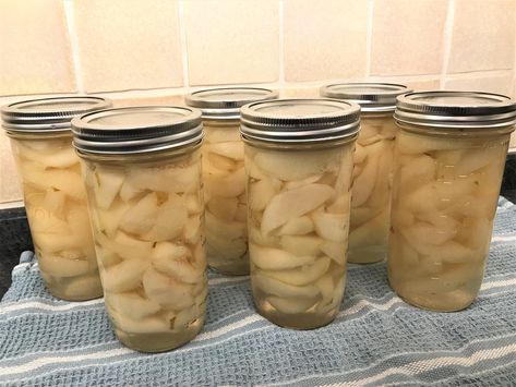 Pears in Light Syrup – Elizabeth Grace Gardens Canned Pears In Light Syrup, Kieffer Pear Recipes, Canning Pears In Light Syrup, Canning Pears, Elizabeth Grace, Food Prepping, Canned Pears, Bartlett Pears, Sliced Pears