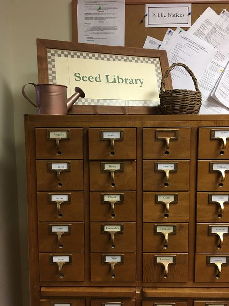 Library Card Holder, Seed Library, Free Seeds, Legacy Projects, Best Garden Tools, Seed Storage, Library Book Displays, Public Libraries, Seed Packaging