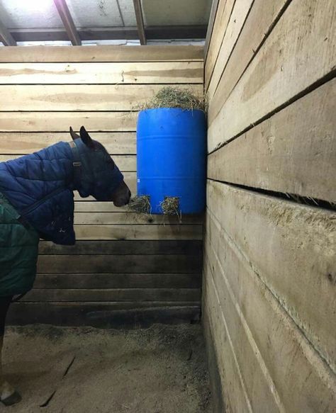 Hay feeder out of plastic barrel. Can hold up to one bale for continuous feeding. Barrel Hay Feeder, Hay Saver For Horses, Horse Hay Feeders Stalls, Stall Feeders For Horses, Diy Hay Bags For Horses, Horse Hay Feeder Ideas, Hay Feeder For Horses Stalls, Diy Horse Feeder Hay, Horse Stall Hay Feeders