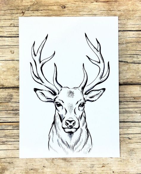 Drawing Deer, Stag Animal, Deer Tattoo Designs, Monochrome Artwork, Geometric Animal Tattoo, Deer Sketch, Line Drawing Wall Art, Deer Drawing, Geometric Wolf