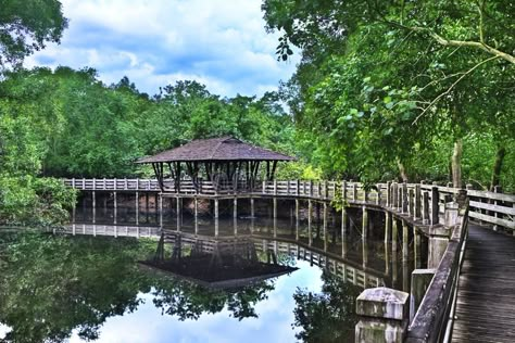 Mangrove Arboretum Shelter, Sungei Buloh Singapore. This is an image of Mangrove , #AFF, #Sungei, #Buloh, #Shelter, #Mangrove, #Arboretum #ad Singapore Things To Do, Singapore Attractions, Asia Places, Water Vacation, Singapore Hotels, Ecology Design, Architecture Concept, Watch Tower, Color Profile