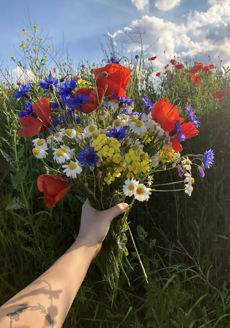 Spring Pictures, Whatsapp Wallpaper, Nothing But Flowers, Wallpaper Nature Flowers, Meadow Flowers, Flower Therapy, Beautiful Bouquet Of Flowers, Nature Aesthetic, Flower Beauty