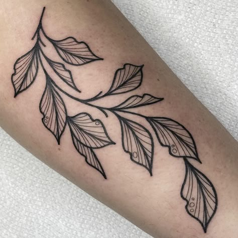 Leaves from my flash 💚🌿 I always love making these 🍃 — #tattoo #tattoos #tattooartist #tampa #tampatattoos #tampatattooartist #blackwork… | Instagram Edgy Tattoos, Tattoo Therapy, Tattoo Perna, Traditional Black Tattoo, Lower Leg Tattoos, Learn To Tattoo, Inspo Tattoo, Ornamental Tattoo, Plant Tattoo