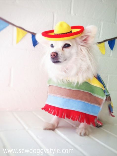 Mayo Diy, Diy Poncho, Best Dog Costumes, Mini Flag, Hipster Dog, Diy Dog Costumes, Food Dog, Pet Halloween Costumes, Mini Flags