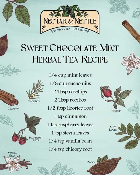 Herbal Tea Diy Recipes, Mint Tea Blends, Winter Herbal Tea, Licorice Root Tea Recipes, Herbal Tea Blends Recipes Diy, Tea Recipes Herbal, Star Anise Tea Recipes, Herbal Elixir Recipes, Chocolate Mint Tea Recipe