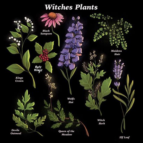 Witches Plants, Witchy Plants, Plants Reference, Witch Potions, Witches Garden, Poison Garden, Witchy Garden, Witch Herbs, Goth Garden