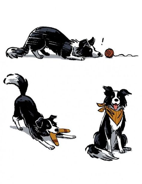 18 Adorable Border Collies That Are Here to Help Brighten Your Day | Page 3 of 5 | PetPress Border Collie Tattoo, Border Collie Colors, Border Collie Art, Cartoon Dogs, 강아지 그림, Border Collie Dog, Comics Artist, Border Collies, Collie Dog