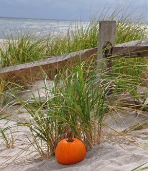 Autumn at the Beach Autumn Beach, Coastal Fall, Fall Beach, Autumn Decorating, I Love The Beach, Fabulous Fall, Beach Living, Cape May, Autumn Season